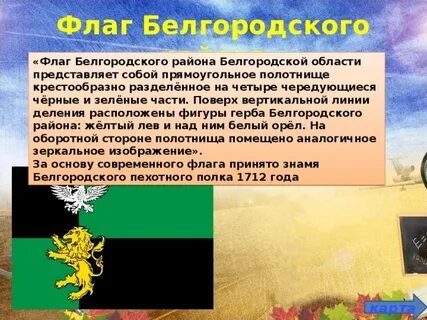 Флаг белгу