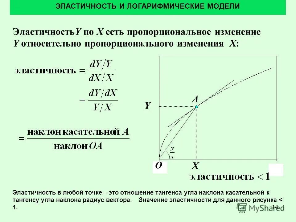 пропорциональное изменение. эластичность эффективности. эластичность спроса и предложения микроэкономика. эластичность эффективности. эластичность эффективности.