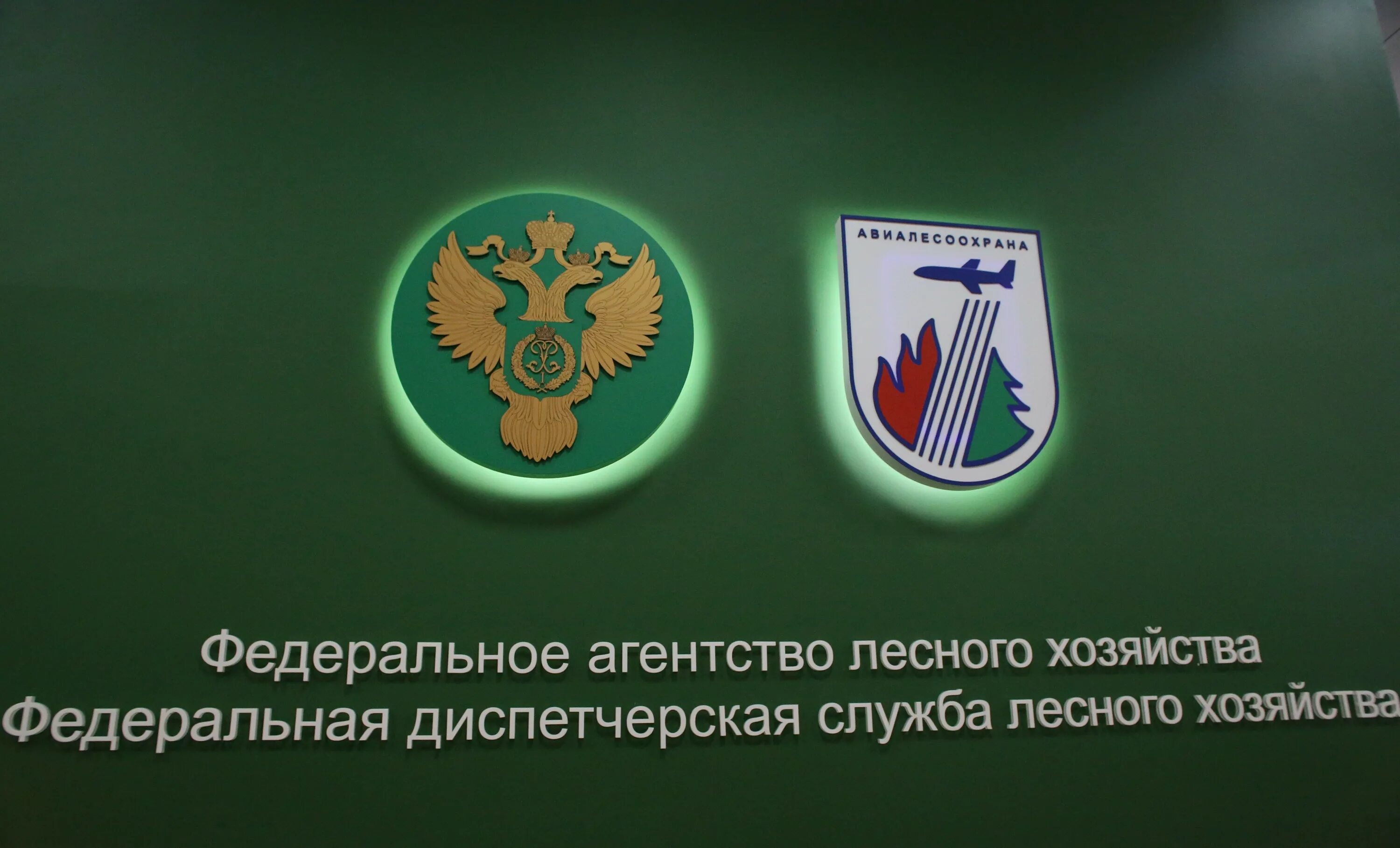 Федеральное агентство рослесхоз. Федеральное агентство рослесхоз