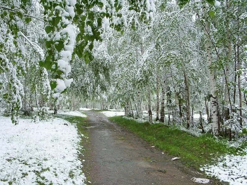 Летний снег. Снег летом. Снегопад летом. Снег летом в России.