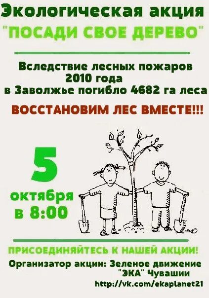 Посади кедр акция. Посадка деревьев экология. Посадка деревьев в чите. Акция по посадке деревьев. Экологической акция «посади кедр-поддержи иммунитет!».