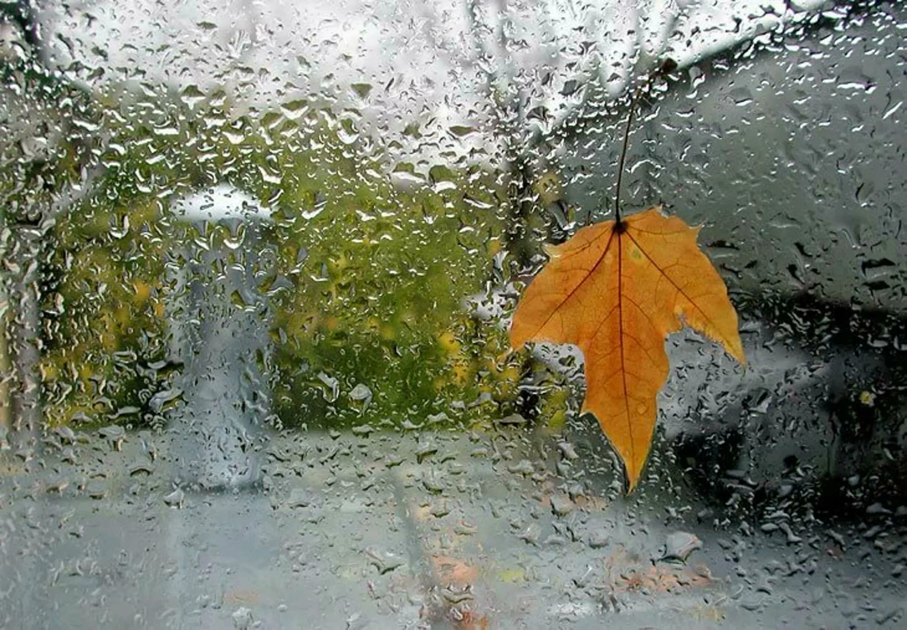 Дождливая осень. Осень дождь. Дождливая осень картинки. Осенний ливень. В дождливый день я подходил