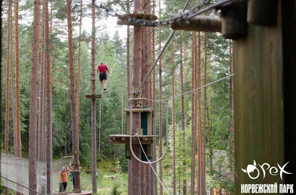 Норвежский парк Орехово. Норвежский веревочный парк орех. Норвежский парк орех Санкт-Петербург. Верёвочный парк орех в СПБ. Веревочные парки спб и ленинградской