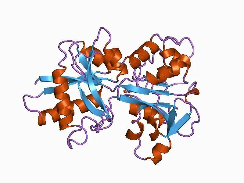 Белки глобулины. Белок трансферрин химическое строение. Трансферрин прозрачный фон. Природа глобулинов. Трансферрин структура белка.