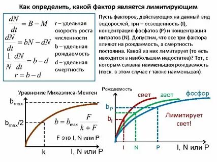 Ограничивающим фактором называется фактор