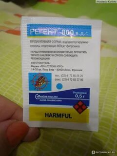 Регент 800 отзывы