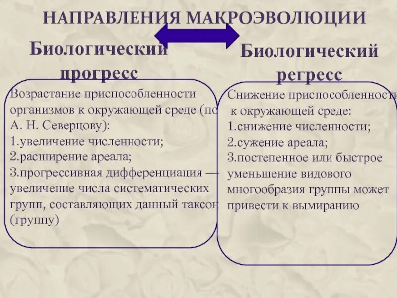 Биологическая роль биологического прогресса. Направления макроэволюции. Прогрессивная дифференциация. Биологический Прогресс. Направления макроэволюции таблица.