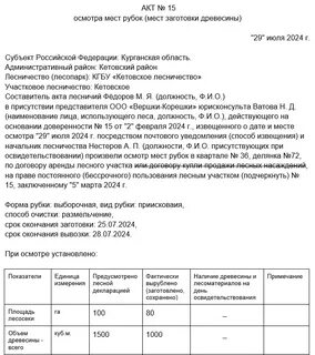Натурное техническое обследование лесного участка