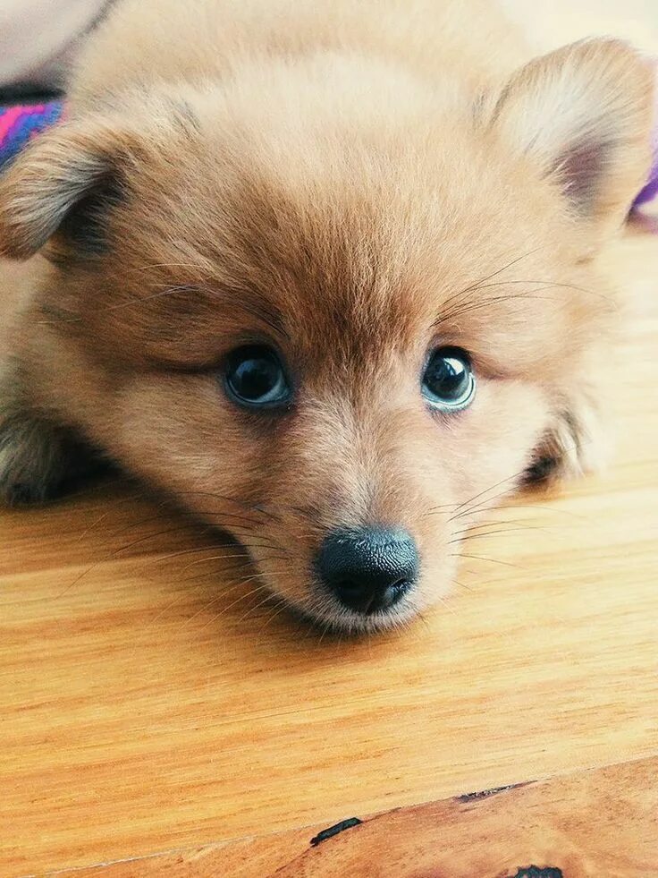 1 милую