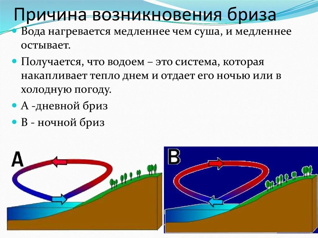 Причины появления воды в. Причины возникновения бриза. Почему вода медленно нагревается. Медленно нагревается и медленно остывает. Нагревание воды в водоёмах.