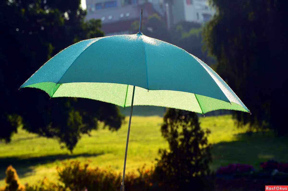 Зонтик початок. Зонтик. Красивые зонтики. Дождевой зонт. Летний зонтик.