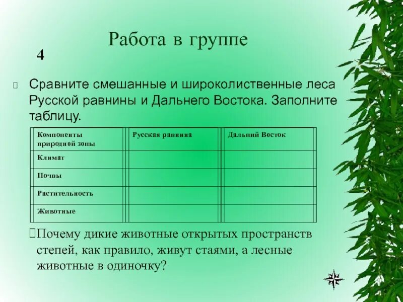 Зона лесов смешанные широколиственные климат. Зона лесов таблица. Характеристика лесных зон России. Характеристика леса.
