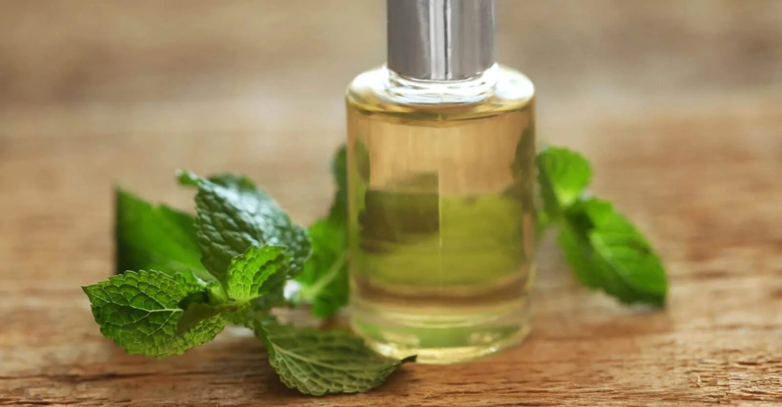 Пряная вода. Spearmint Essential Oil. Эфирное масло мяты перечной. Масло мяты ментол. Natural Oil ol эфирное масло.