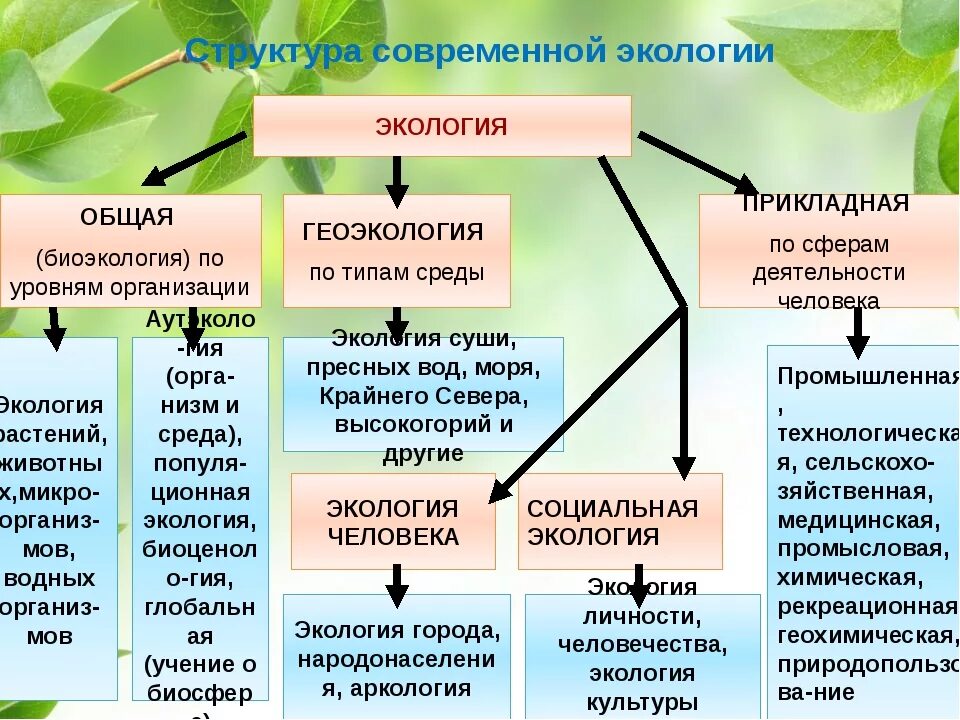 Составляющие окружающей среды