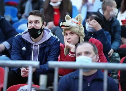 Фанаты сегодня