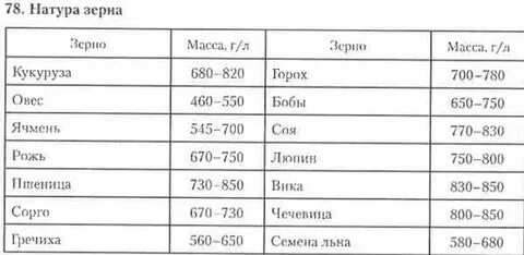Натура пшеницы