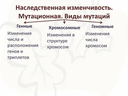 Мутационная изменчивость это в биологии