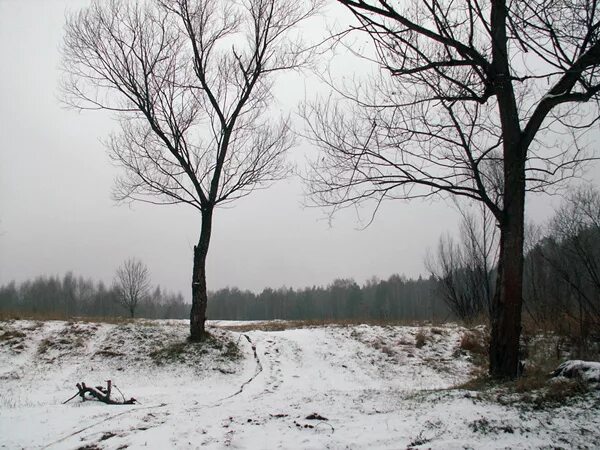 Февральские деньки фото стильные. Летопись зимы. Гольяновский парк москва зимой. Гольяновский пруд зимой замок. Летопись зимы.