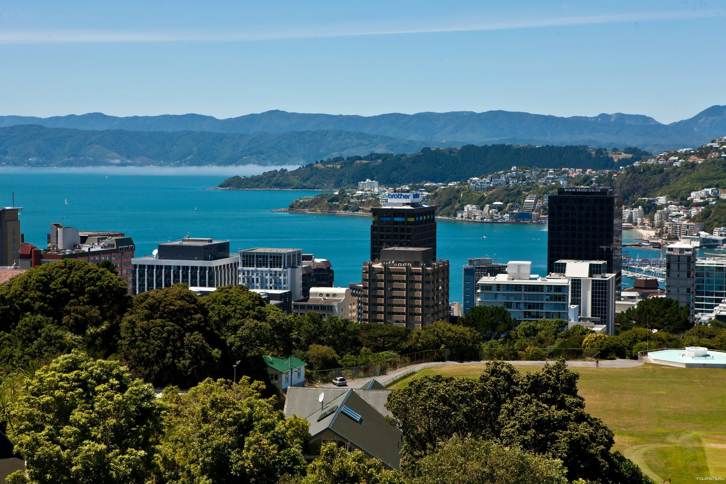 Wellington new zealand