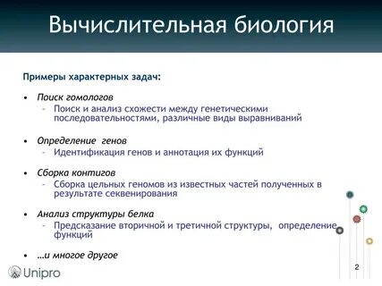 Научная статья по биологии пример