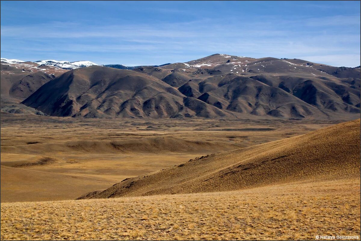 субтропики ссср. степь пустыня субтропики. полупустыни степи горы. степи пампа южной америки. степь пустыня субтропики.