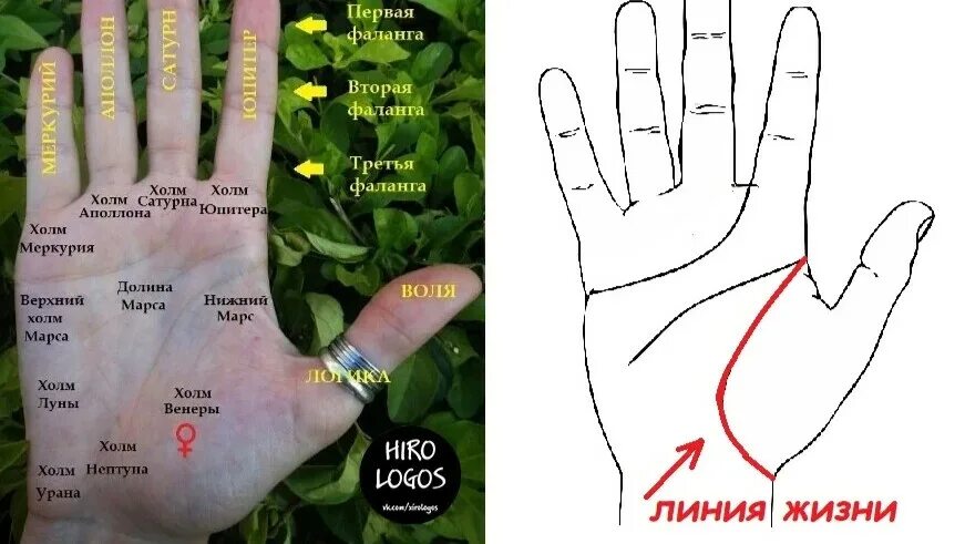 Хиромантия линии на холме сатурна. Кольцо сатурна на ладони. Хиромантия линия сатурна. Хиромантия линия сатурна. Холм марса на руке.
