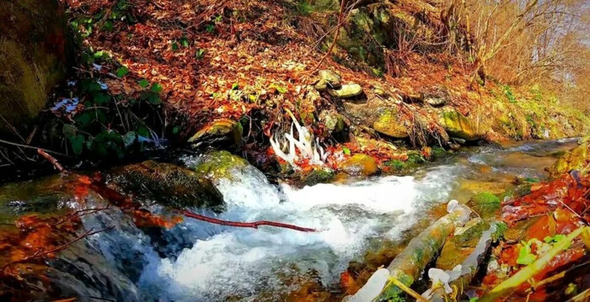 Журчание воды. Шум ручья. Журчание реки. Шум воды и ручья. Журчание чтобы пописать