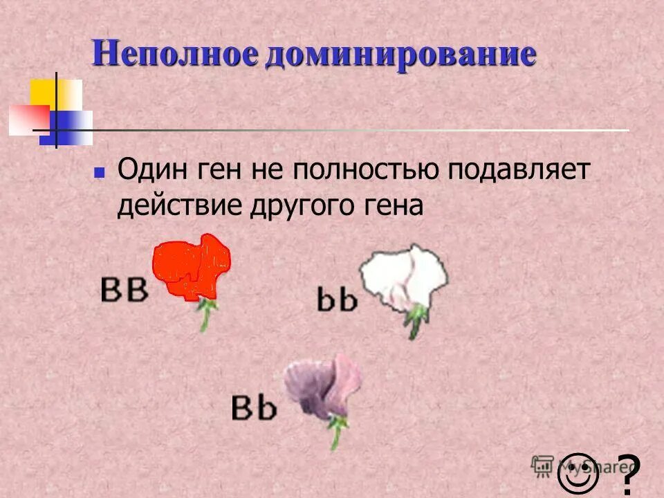 Определил полное доминирование. Неполное доминирование. неполное доминирование это в биологии. неполное доминирование генетика. неполное доминирование примеры.