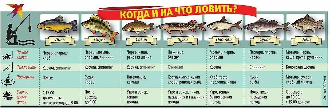 Какое время можно ловить рыбу