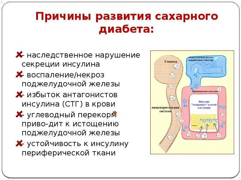 Причины развития сахарного диабета. Причины формирования сахарного диабета. Нарушение секреции инсулина. Причиной развития сахарного диабета является