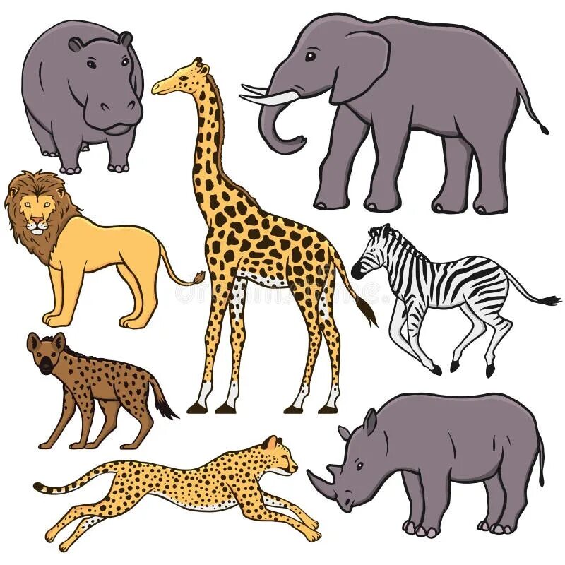 Тигр лев жираф слон. Животные Африки дл ядетй. Рисунки африканских животных. Лев Зебра Жираф и Бегемот. Рисование животных Африки.