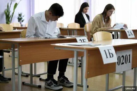 Отменили экзамены в 2024 году