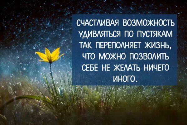 радость жизни. молекулярная кухня в нижнем новгороде. позитивный взгляд на мир. радуга человек. обувь для женщин.
