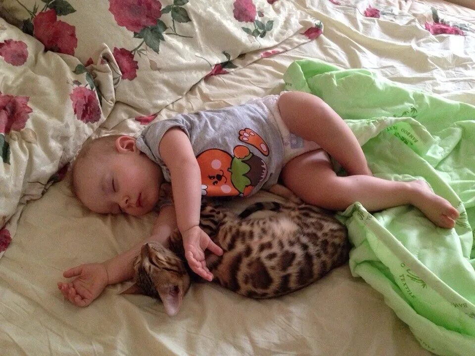 Берегите животных кошки презентация. Животные. Как кошки относятся к детям. Коты и дети. Как кошки относятся к детям.