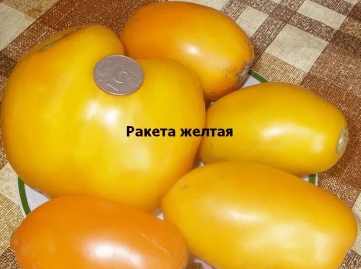Желтая ракета томат описание и фото Купить рассаду Томата Желтая ракета в Нижнем Новгороде Гарден Флора