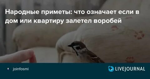 Воробей сел на окно примета