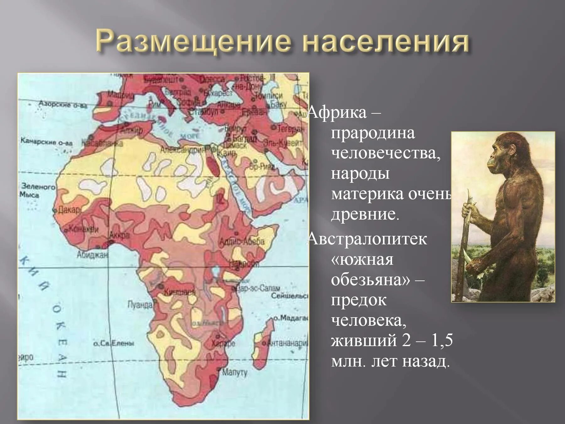 Африка прародина человечества. Африка - прародина челове. Размещение населения Африки. Карта размещения населения Африки. Народы населяющие материк