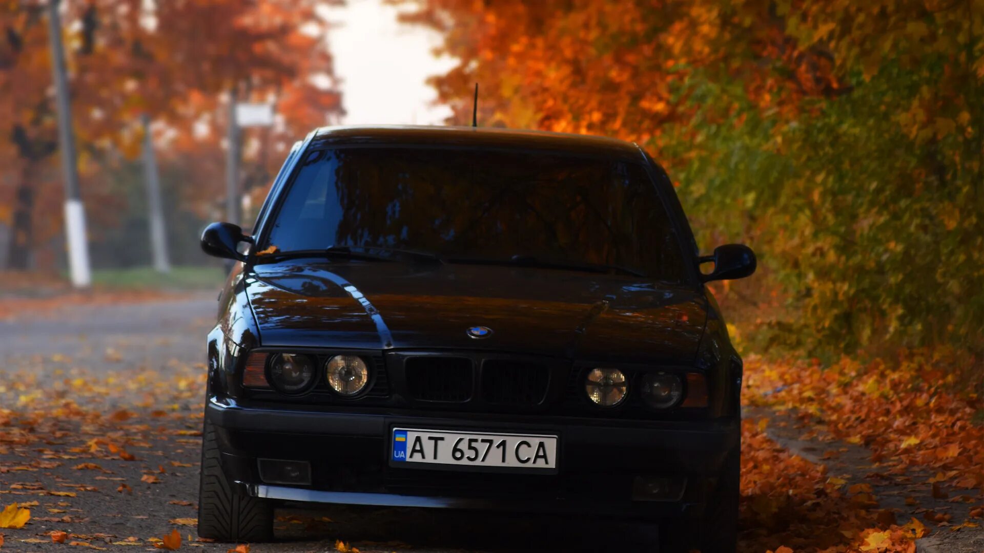 BMW 5 series (E34) 2.0 бензиновый 1993 Баварская ляля на DRIVE2