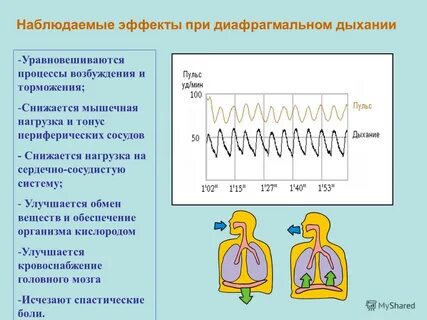 Волна дышать