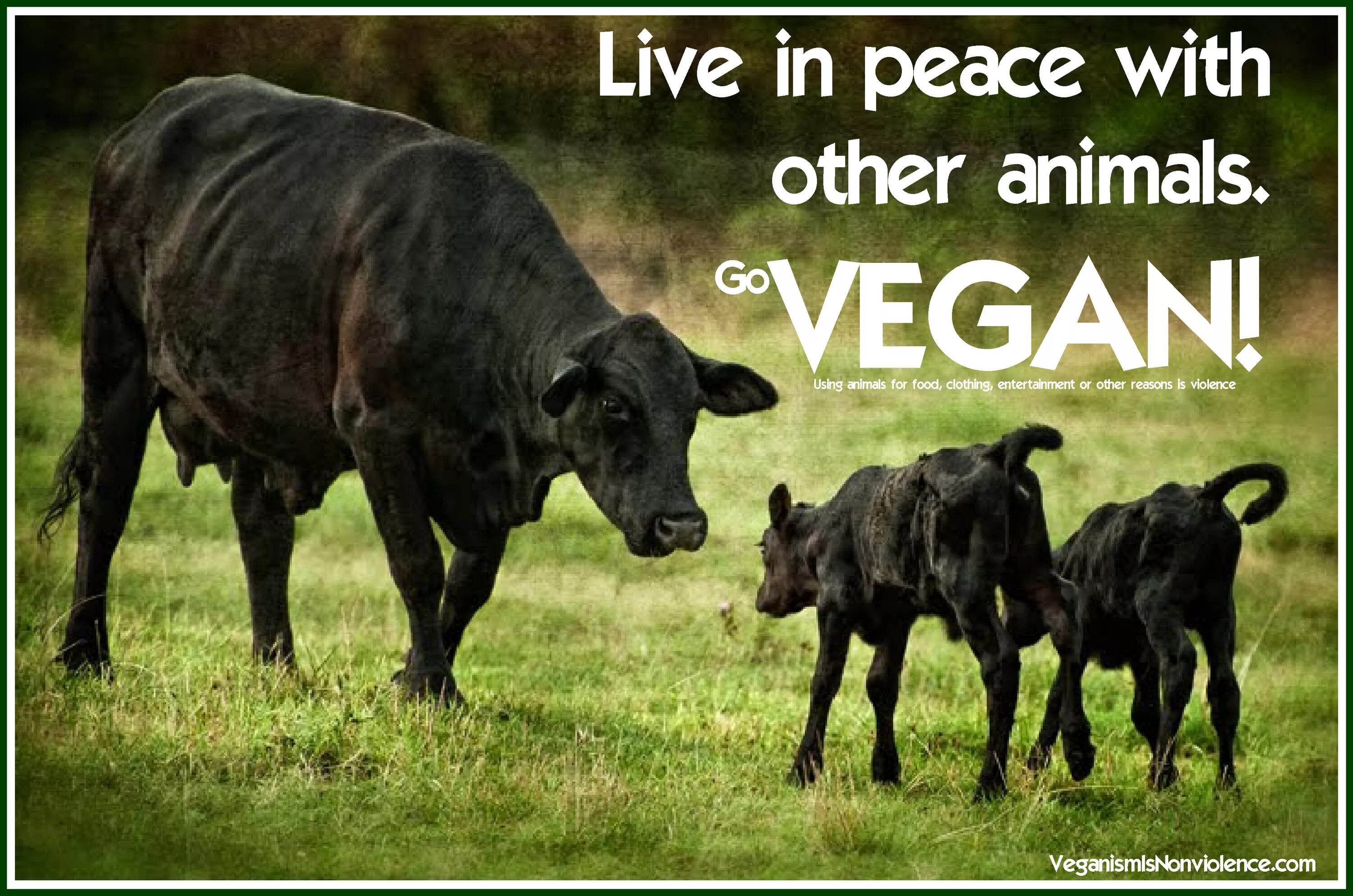 Vegan animals. Peace животные. Vegetarian animal. Веган животное