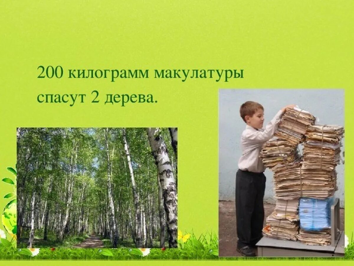 200 Кг макулатуры. Сбор бумаги и макулатуры. Сборка макулатуры. Макулатура дерево.