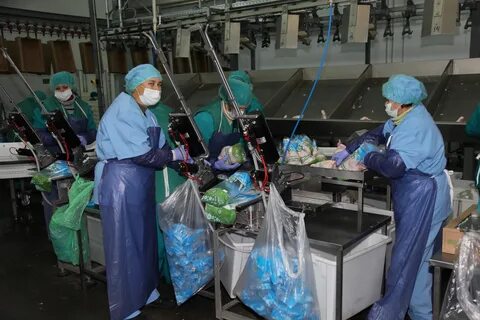 Токаревская птицефабрика
