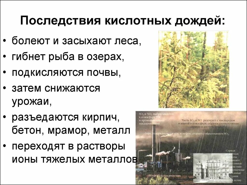 Последствия кислотных дождей. Кислотные дожди причины и последствия. Кислотные дожди причины. Последствия кислотных дождей кратко.