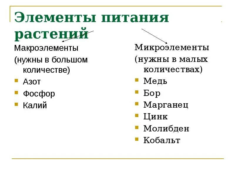 Признаки дефицита азота у растений. Микроэлементы необходимые для растений. Азот необходим растениям для. Основные элементы питания растений. Элементы минерального питания растений.