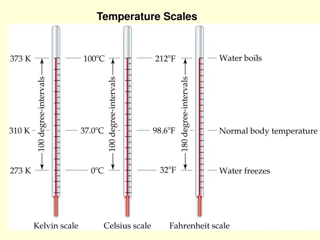 Температурные шкалы фаренгейт цельсий Кельвин. Цельсий фаренгейт Кельвин Реомюр. Температурная шкала Кельвина. Градусник со шкалой Кельвина.