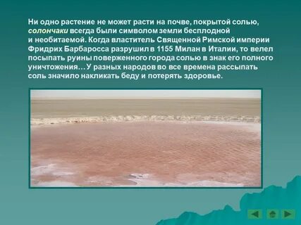 Роль соли в жизни растений