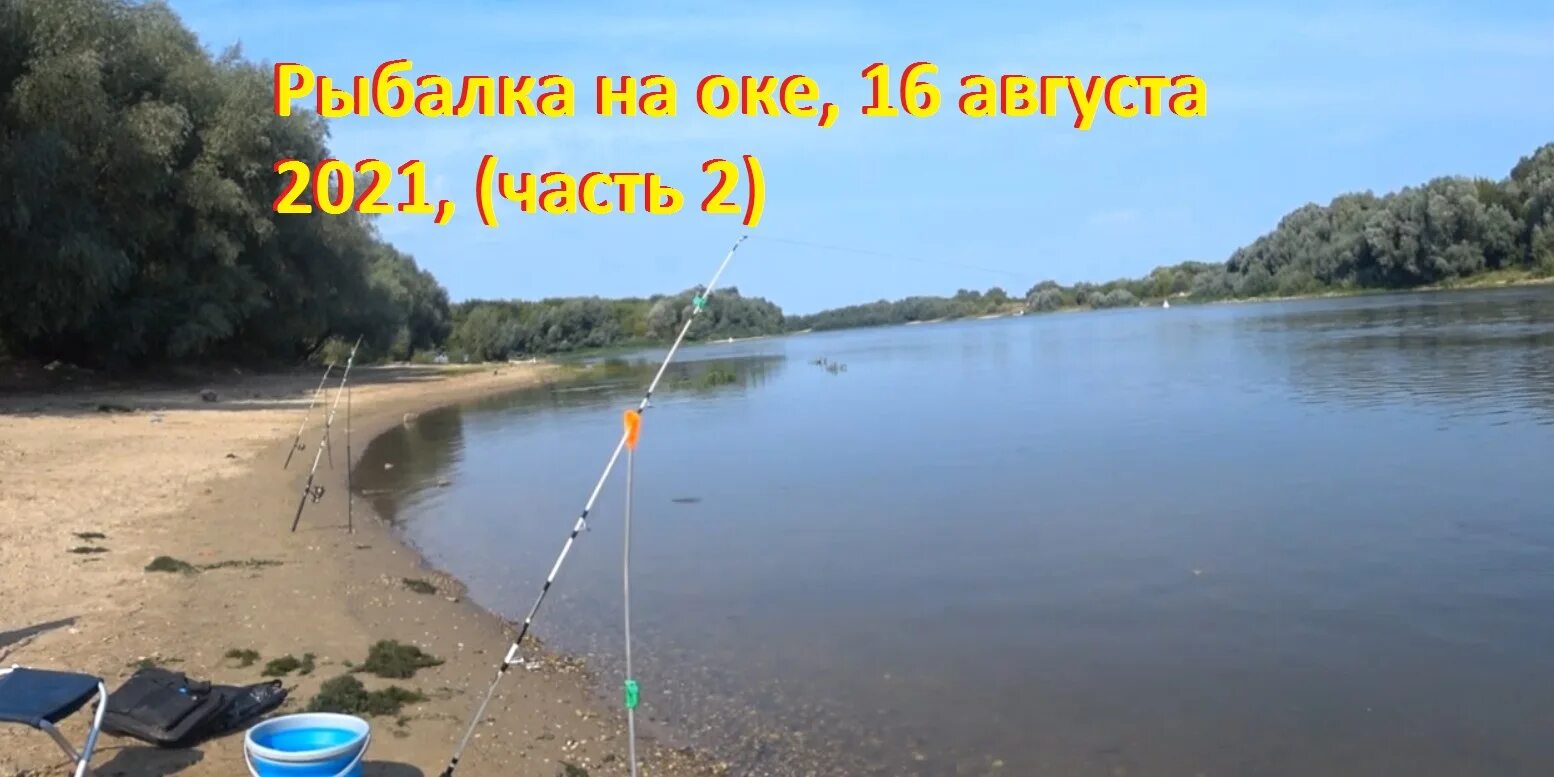 царская рыбалка. база отдыха синец рязанская область. рыбалка в рязани. грибы и рыбалка в рязани. рыбалка в рязани 62.