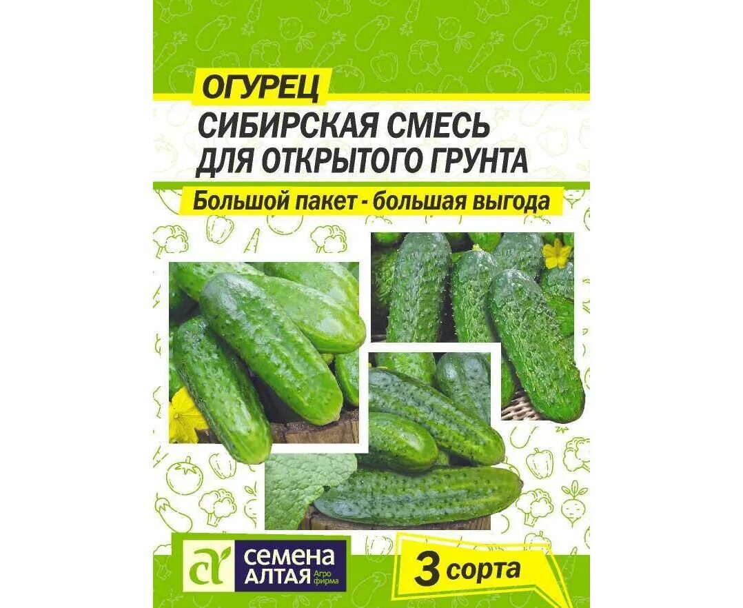 Огурцов в сибири