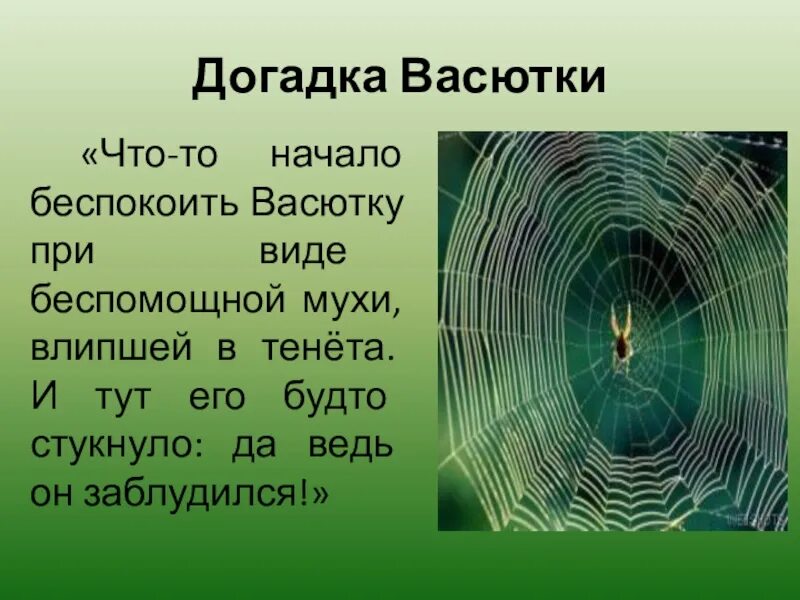 Презентация васюткино озеро 5 класс литература. Презентация на тему Васюткино озеро. Иллюстрация к произведению Васюткино озеро. Васюткино озеро презентация 5 класс. Презентация о произведении Васюткино озеро.