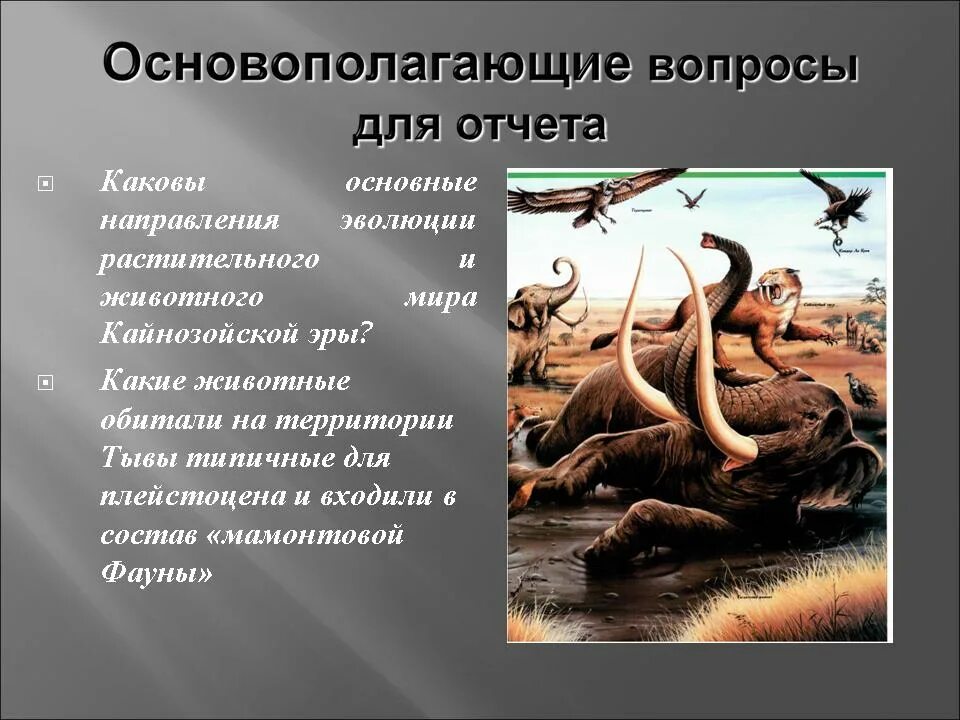 Направления эволюции в кайнозойскую эру.. Основные направления развития растений и животных в кайнозое.